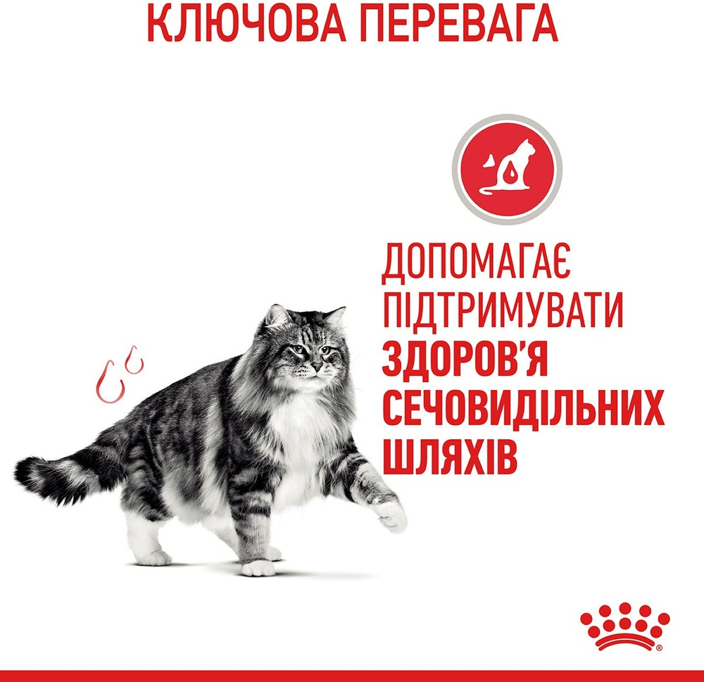 Сухий корм для котів Royal Canin Urinary Care для підтримки здоров'я сечовивідних шляхів 400гфото5