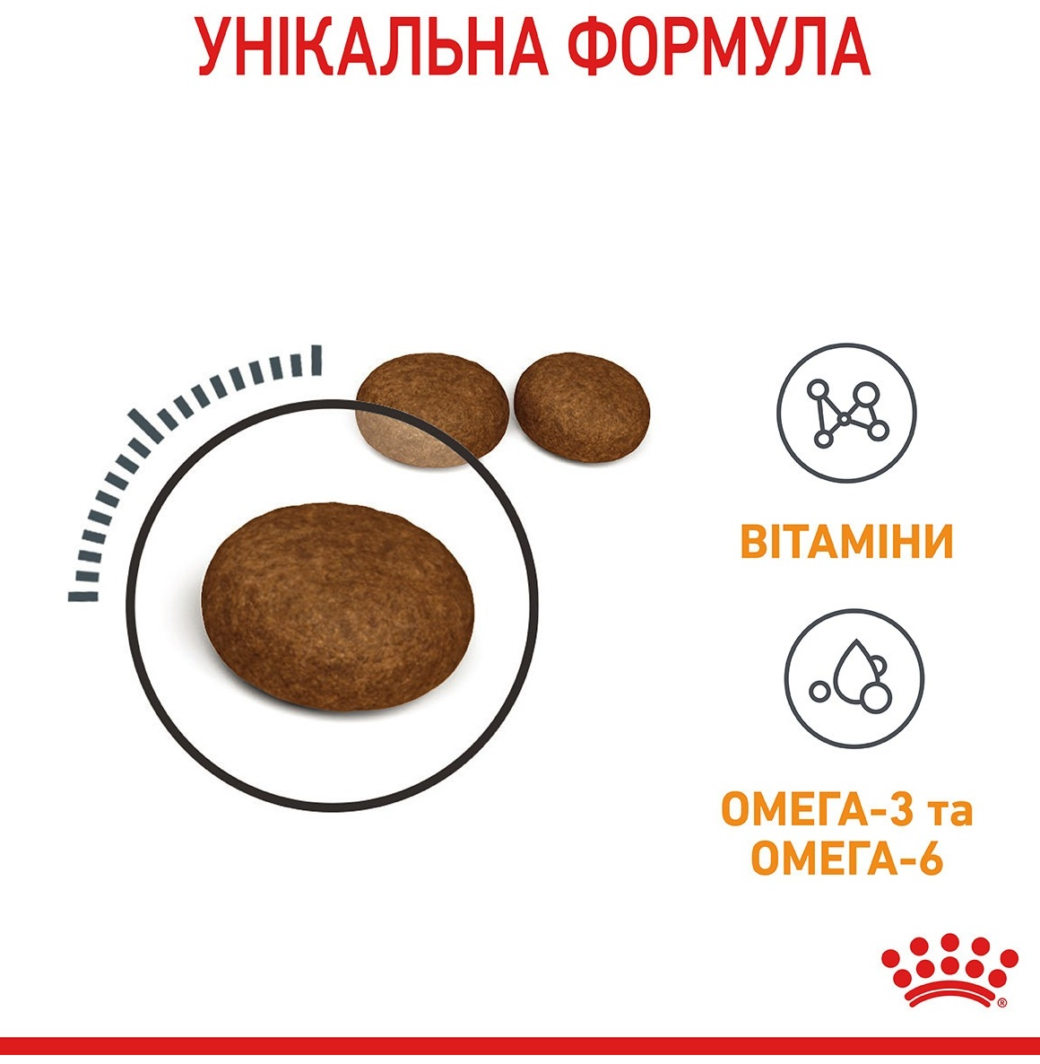 Сухий корм для котів Royal Canin Hair&Skin Care для підтримки здоров'я шкіри та блиску вовни 400гфото2