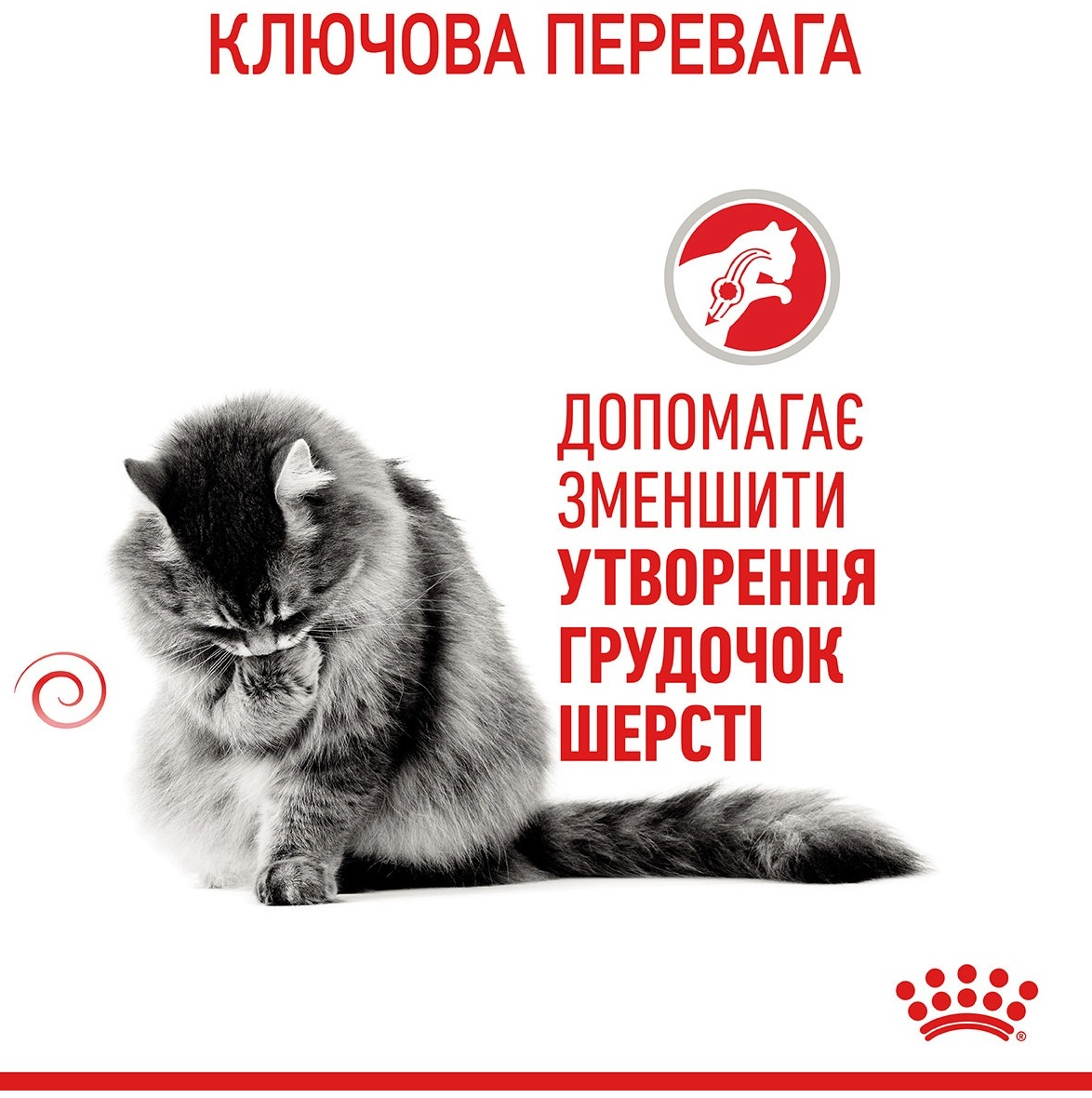 Сухий корм для котів Royal Canin Hairball Care для виведення вовни 400гфото3