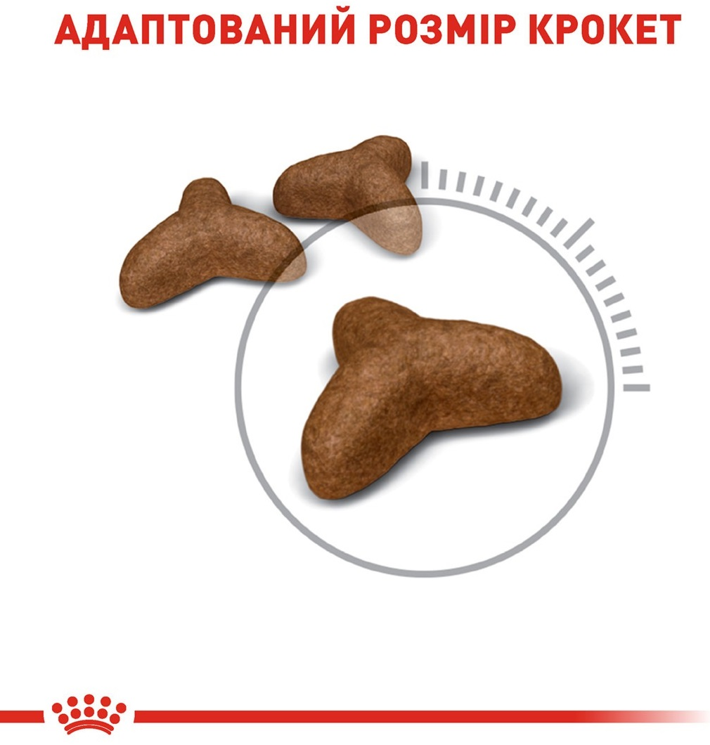 Сухой корм для котов Royal Canin Light Weight Care для ограничения набора веса 400г фото 2