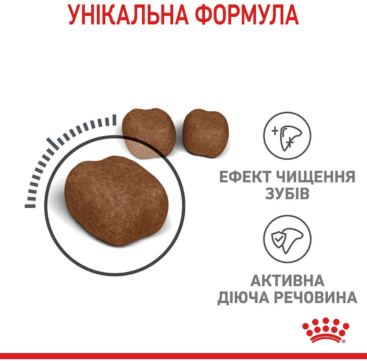 Сухой корм для котов Royal Canin Dental Care для уменьшения образования зубного налета и камня 400г фото 2