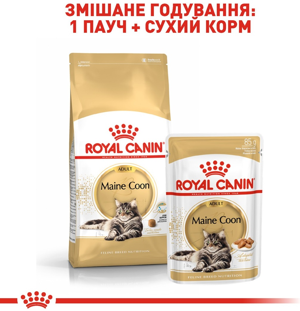 Сухий корм для котів породи Мейн-Кун Royal Canin Mainecoon Adult 2кгфото8