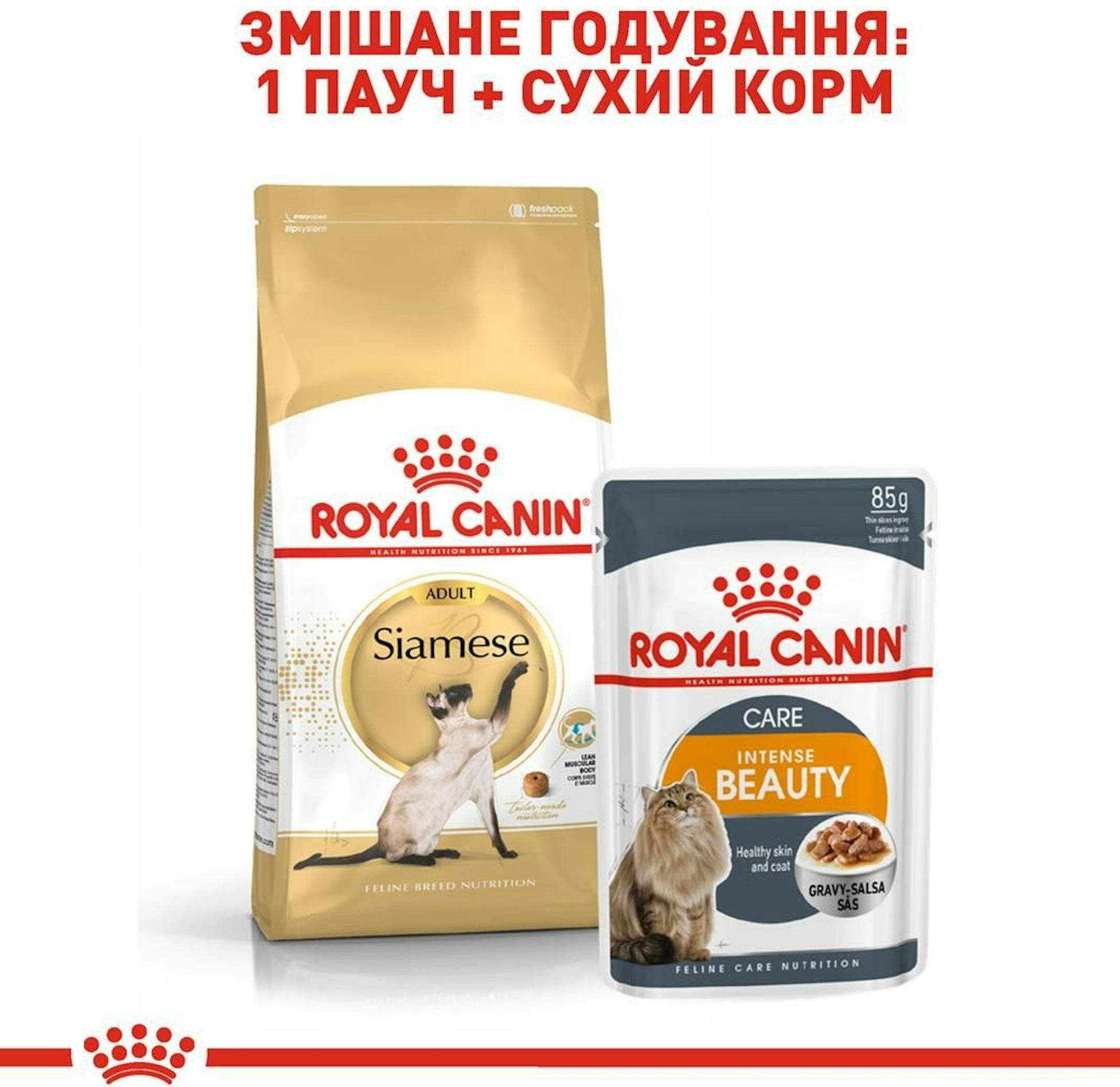 Сухий корм для котів породи Сіамська Royal Canin Siamese Adult 400гфото9