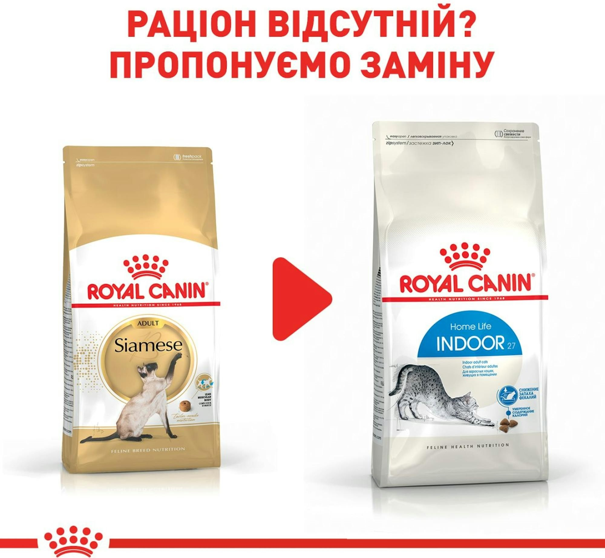 Сухий корм для котів породи Сіамська Royal Canin Siamese Adult 400гфото8