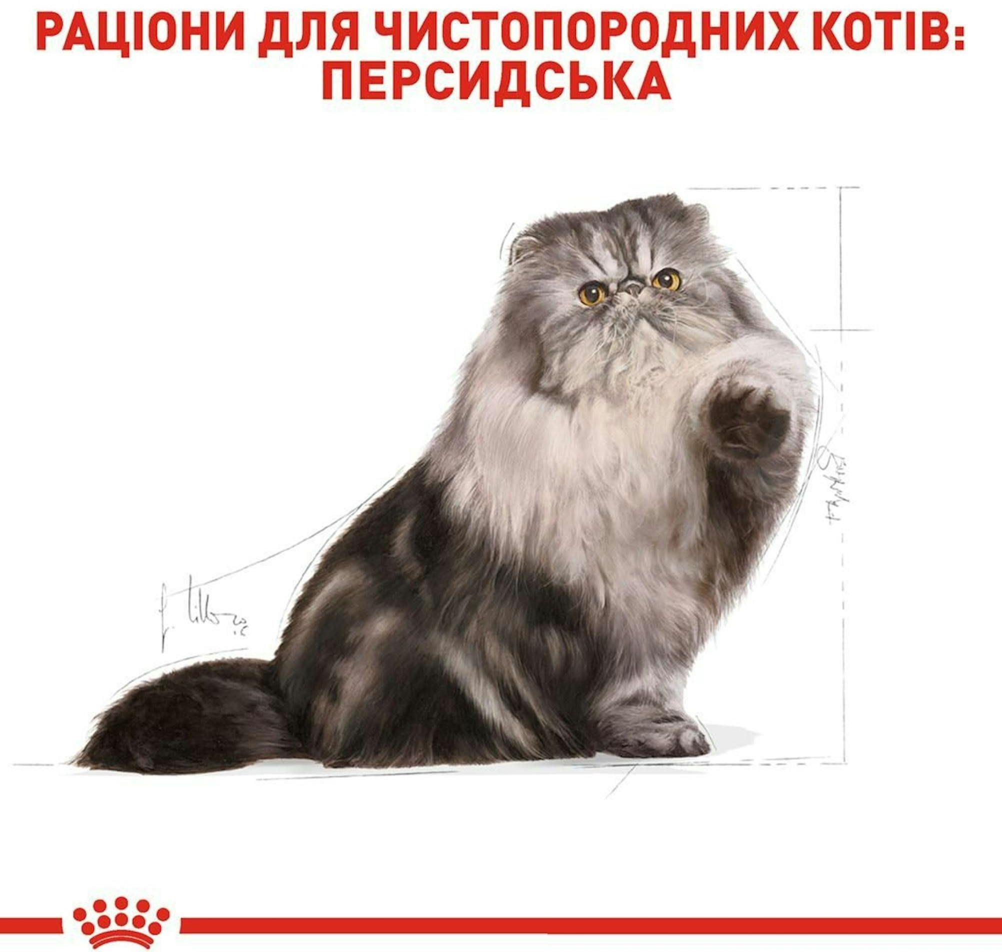 Сухий корм для котів породи Перська Royal Canin Persian Adult 2кгфото3