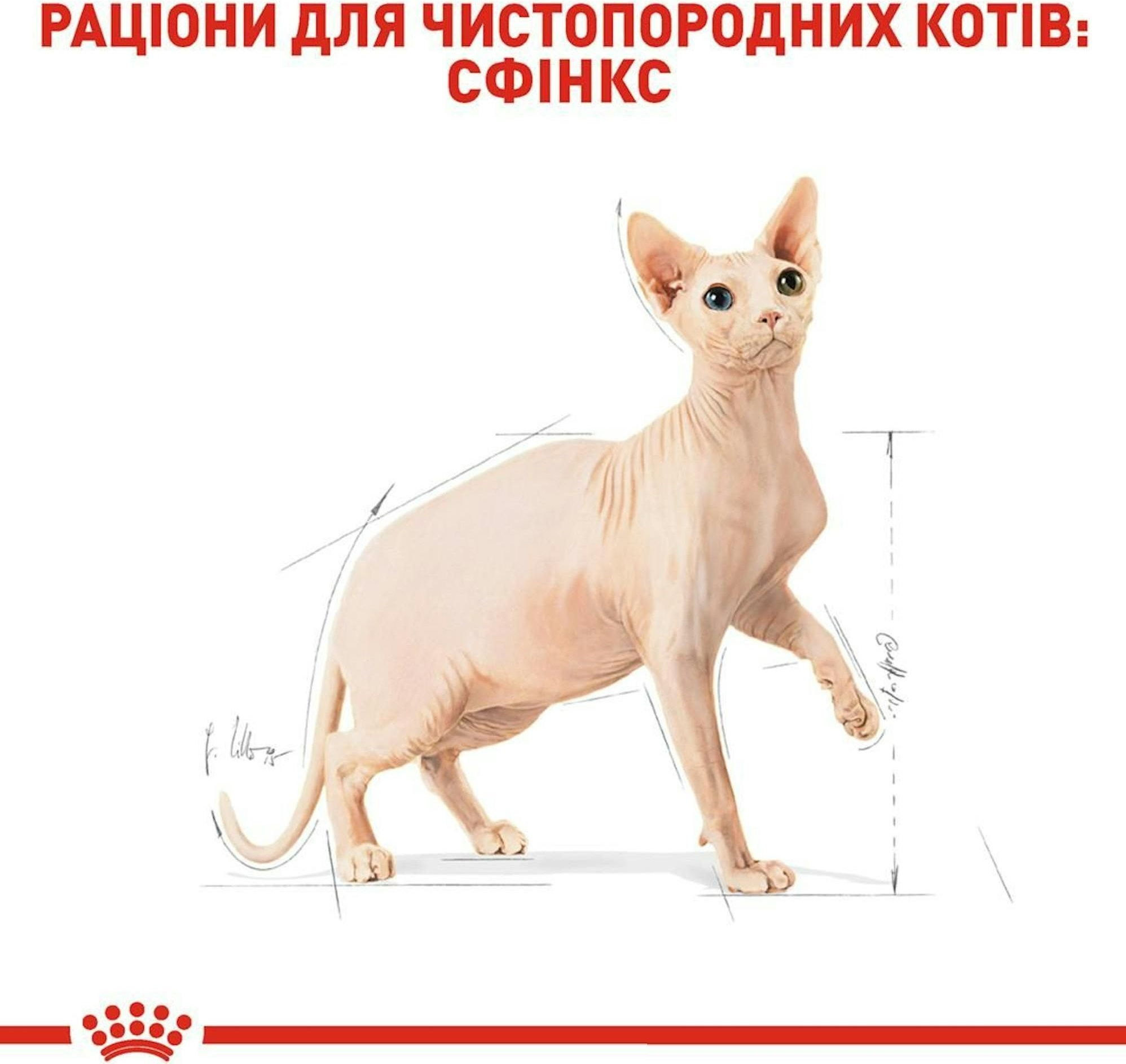 Сухой корм для котов породы Сфинкс Royal Canin Sphynx Adult 2кг фото 3