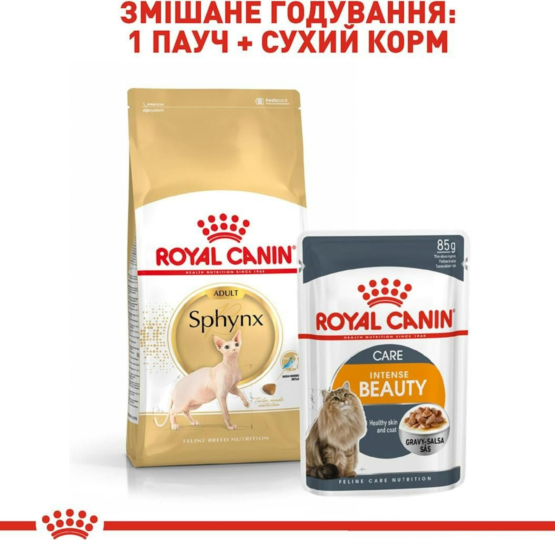 Сухий корм для котів породи Сфінкс Royal Canin Sphynx Adult 2кгфото7