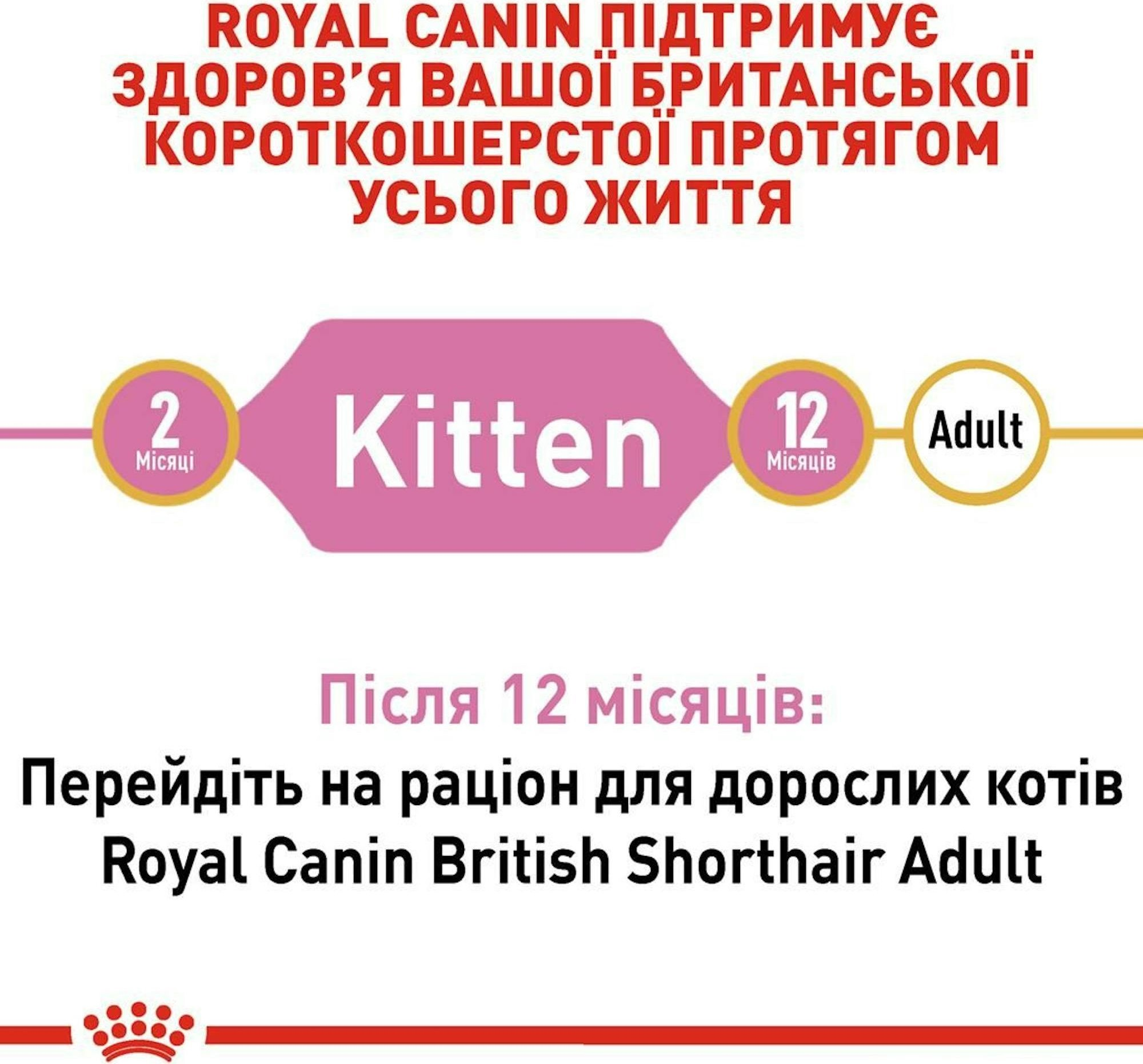 Сухой корм для котят породы Британская короткошерстная Royal Canin Kitten British Shorthair 400г фото 8