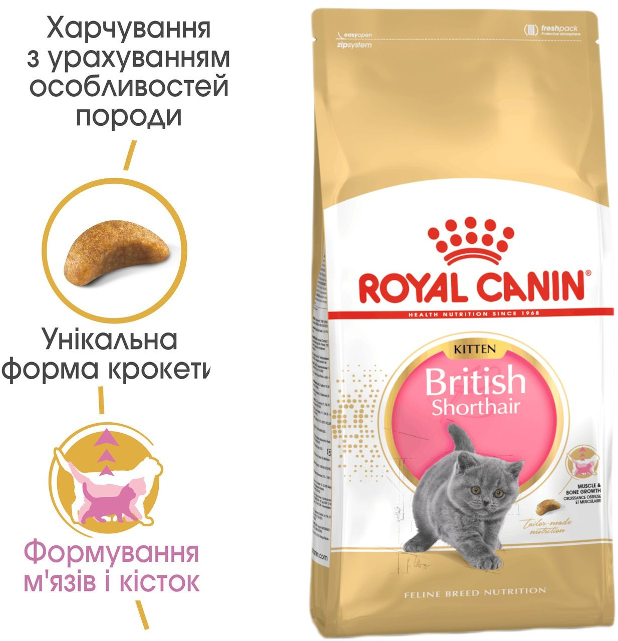 Сухой корм для котят породы Британская короткошерстная Royal Canin Kitten British Shorthair 400г фото 2