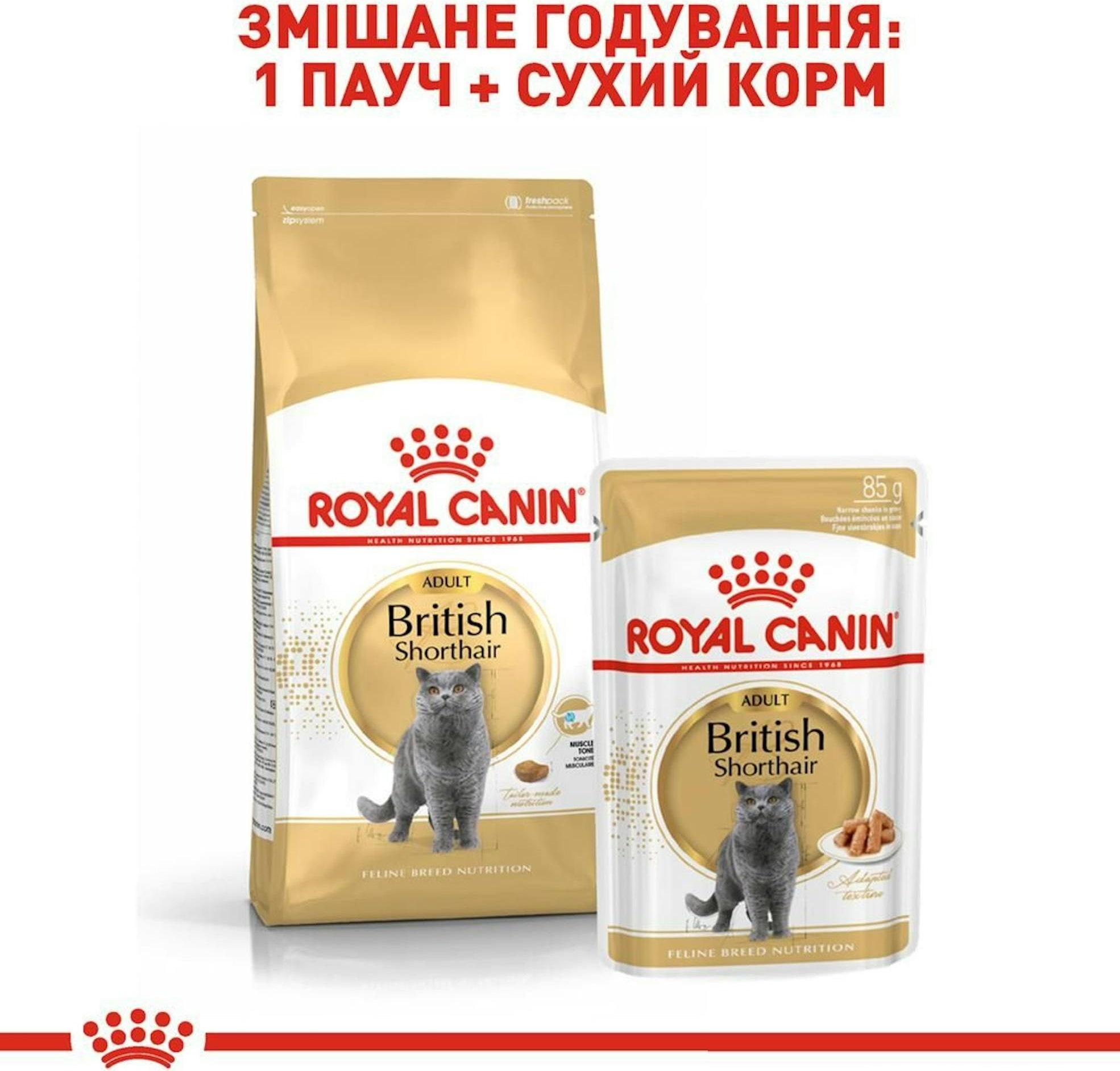 Сухий корм для котів породи Британська короткошерста Royal Canin British Shorthair Adult 400гфото8