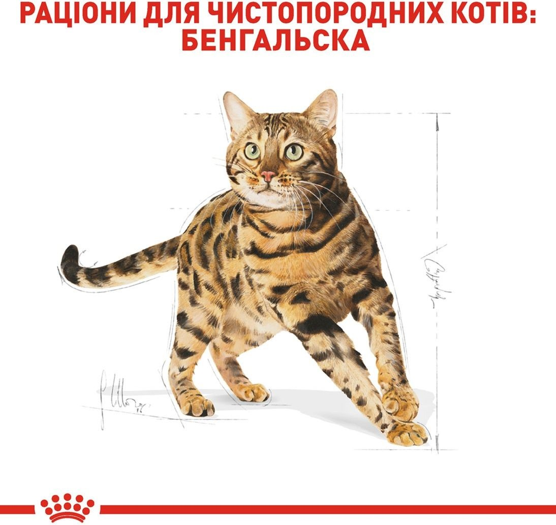 Сухой корм для котов породы Бенгал Royal Canin Bengal Adult 2кг фото 3