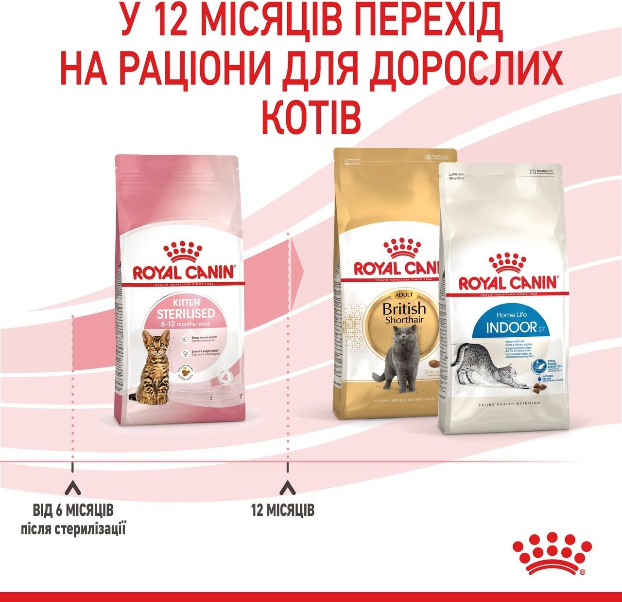 Сухой корм для стерилизованных котят Royal Canin Kitten Sterilised 400г фото 9