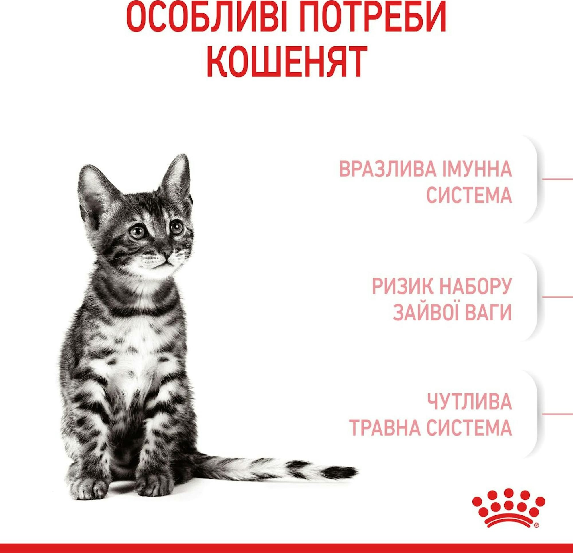 Сухий корм для стерилізованих кошенят Royal Canin Kitten Sterilised 400гфото3