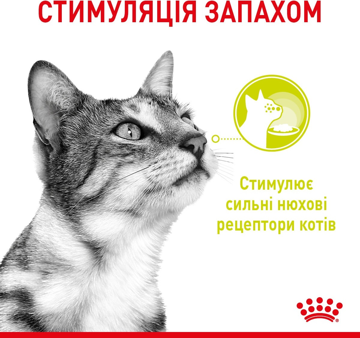 Упаковка вологого корму для котів Royal Canin Sensory Multipack 12*85гфото2