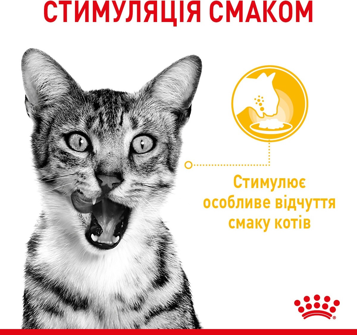 Упаковка вологого корму для котів Royal Canin Sensory Multipack 12*85гфото3