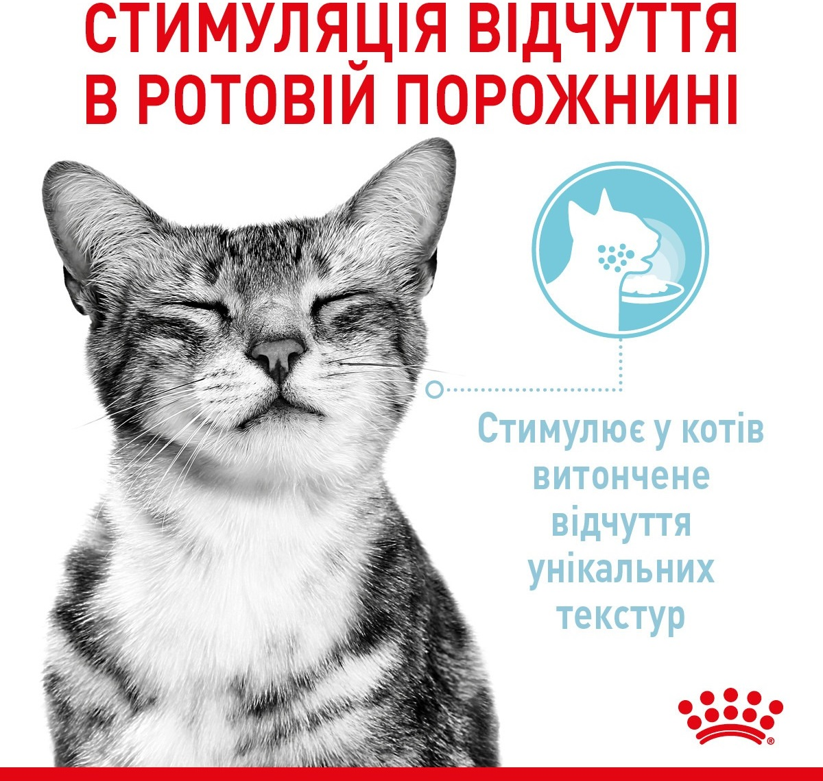 Упаковка влажного корма для котов Royal Canin Sensory Multipack 12*85г фото 4