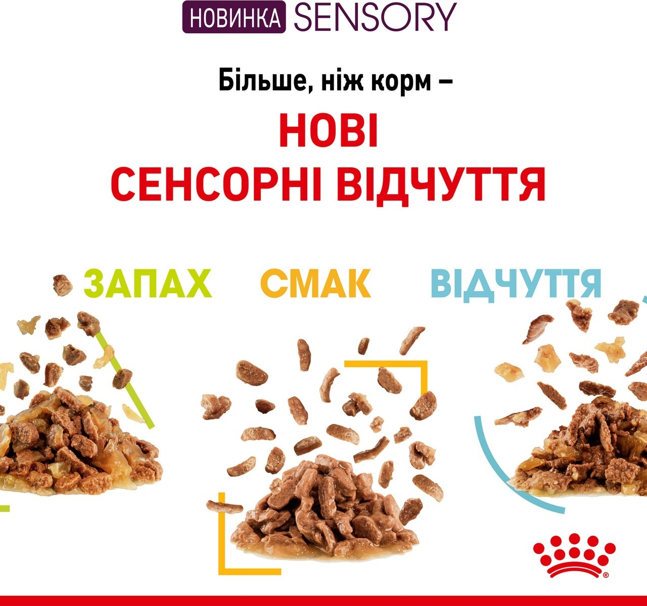 Упаковка влажного корма для котов Royal Canin Sensory Multipack 12*85г фото 6