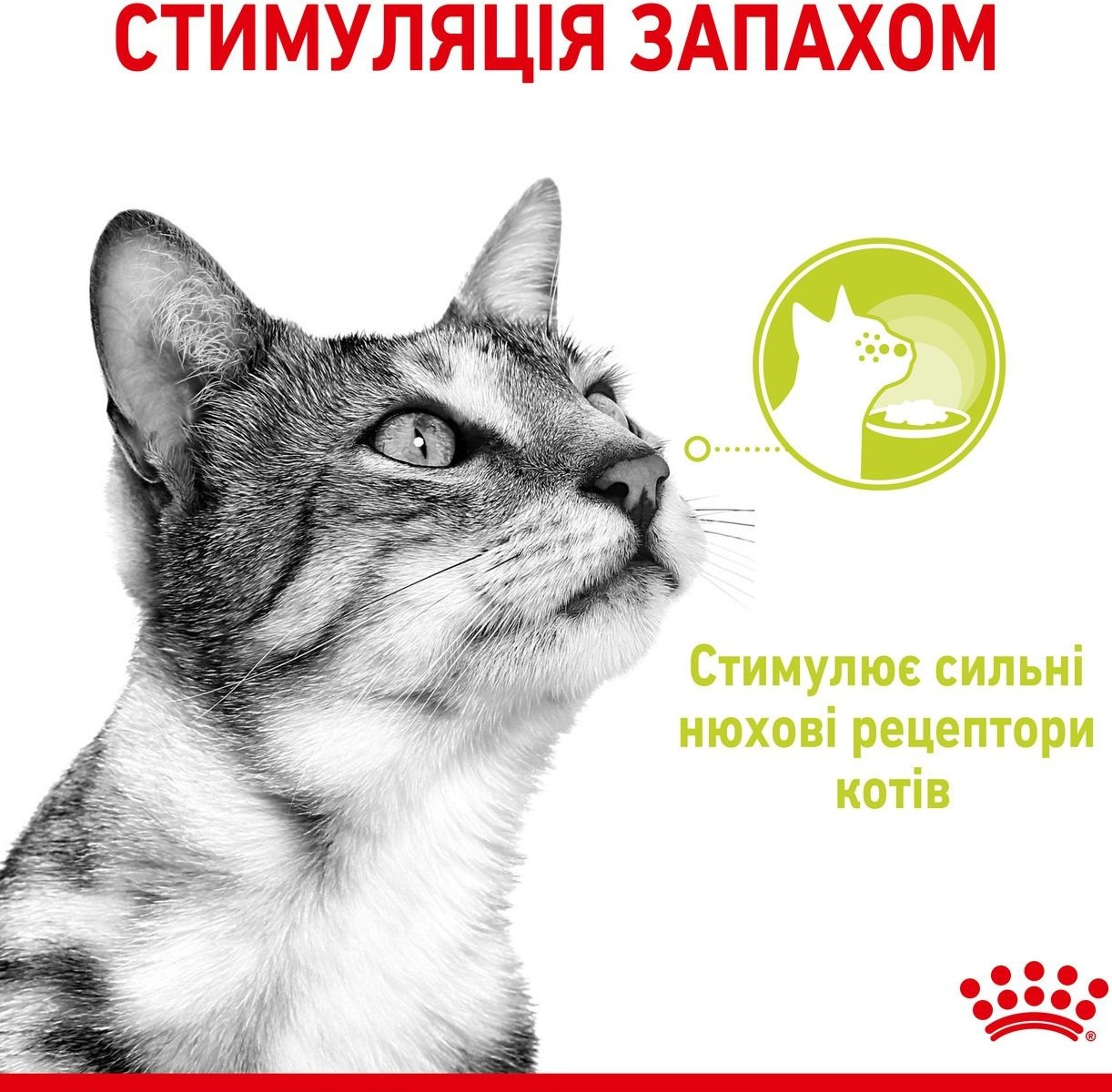 Вологий корм для котів Royal Canin Sensory Smell Gravy 85гфото3