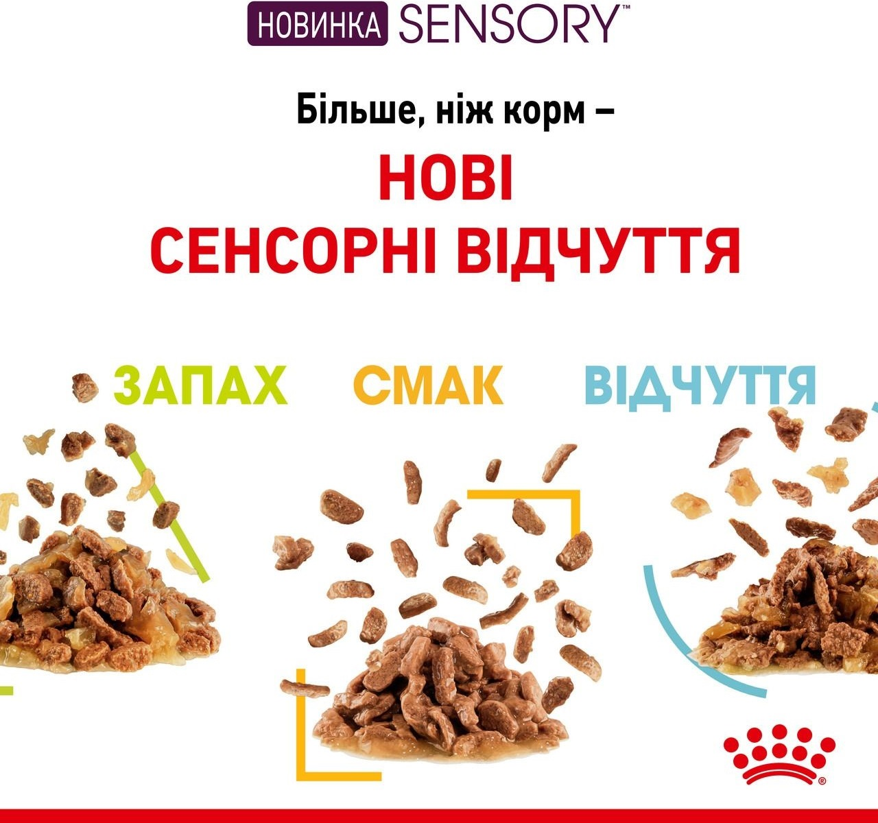 Влажный корм для котов Royal Canin Sensory Taste Gravy 85г фото 4