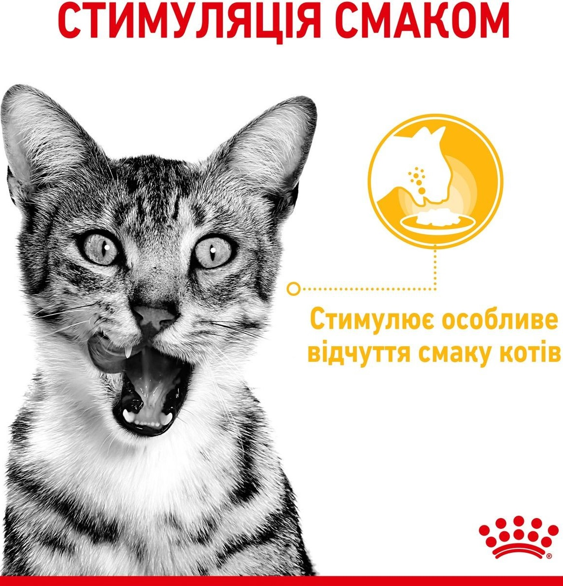 Влажный корм для котов Royal Canin Sensory Taste Gravy 85г фото 3