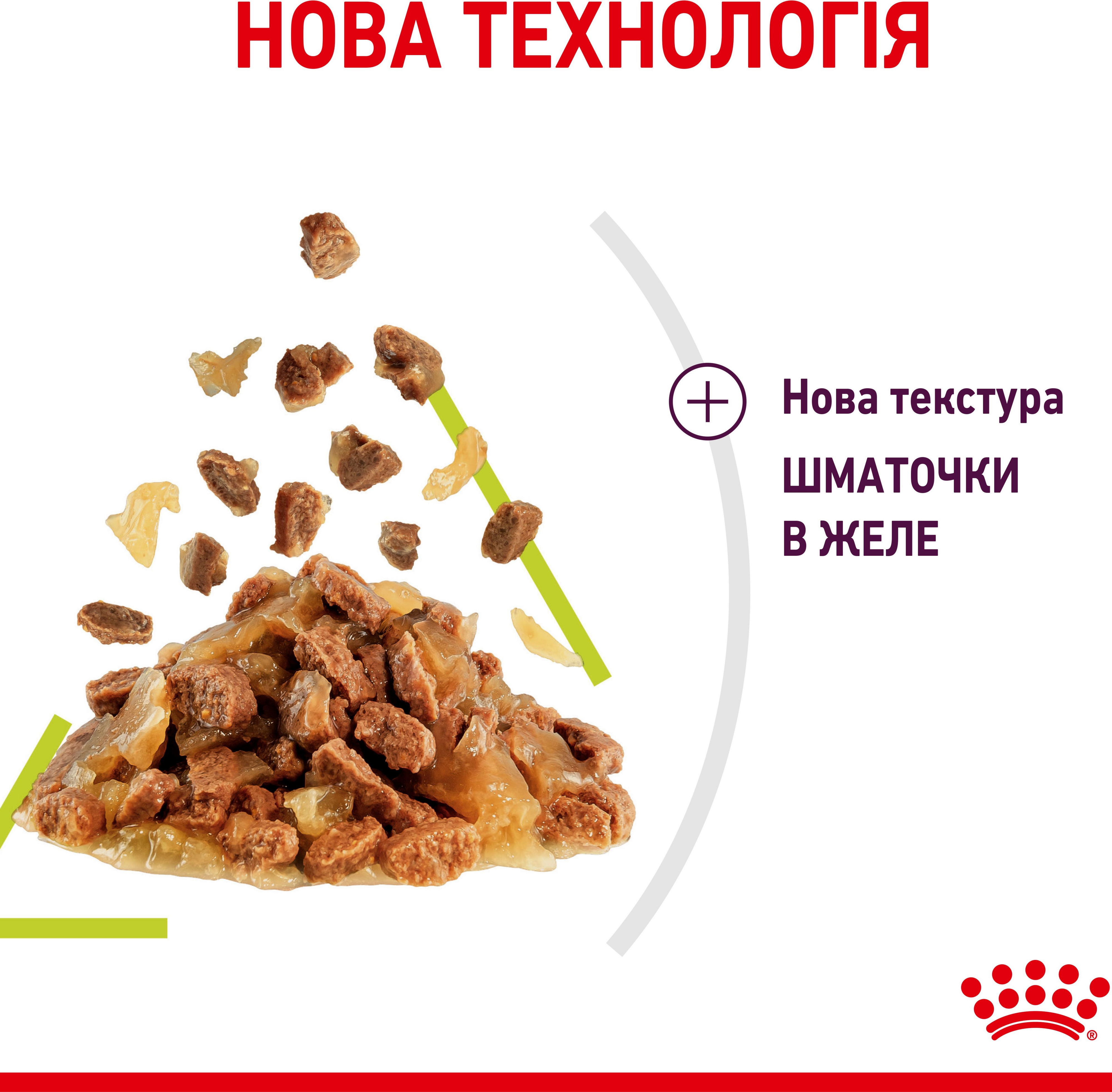 Влажный корм для котов Royal Canin Sensory Smell Jelly 85г фото 5