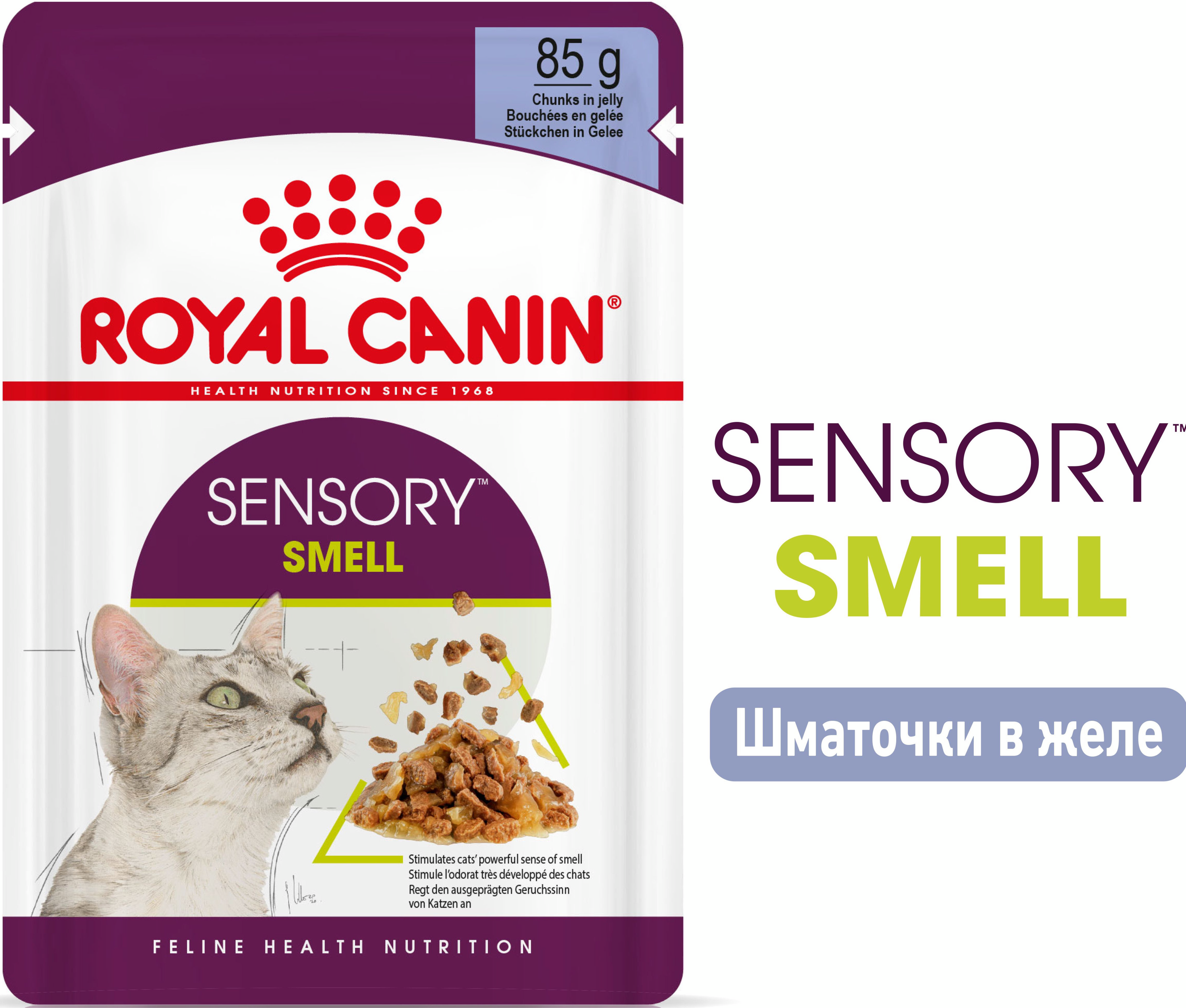 Влажный корм для котов Royal Canin Sensory Smell Jelly 85гфото2