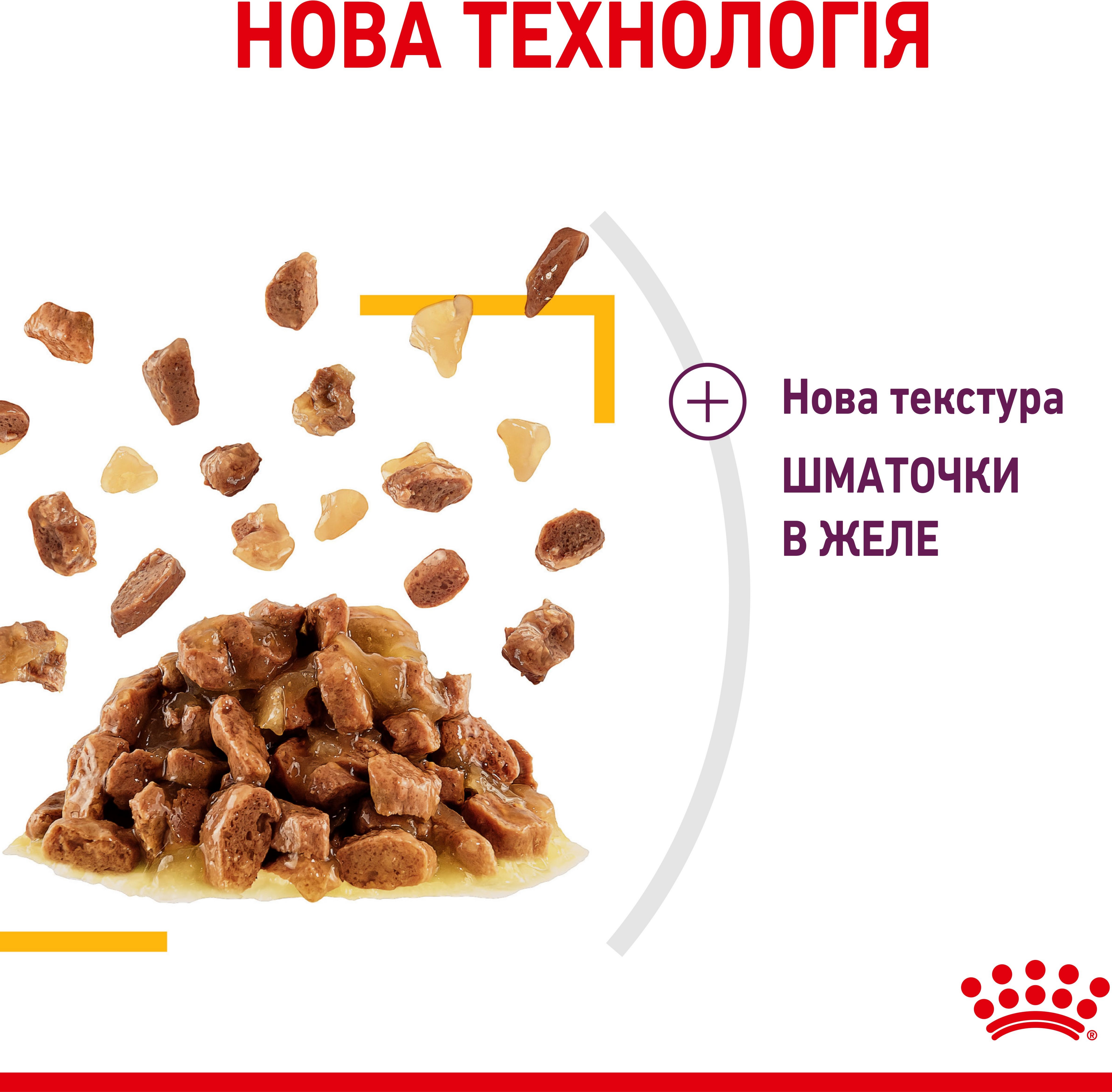 Влажный корм для котов Royal Canin Sensory Taste Jelly 85гфото5