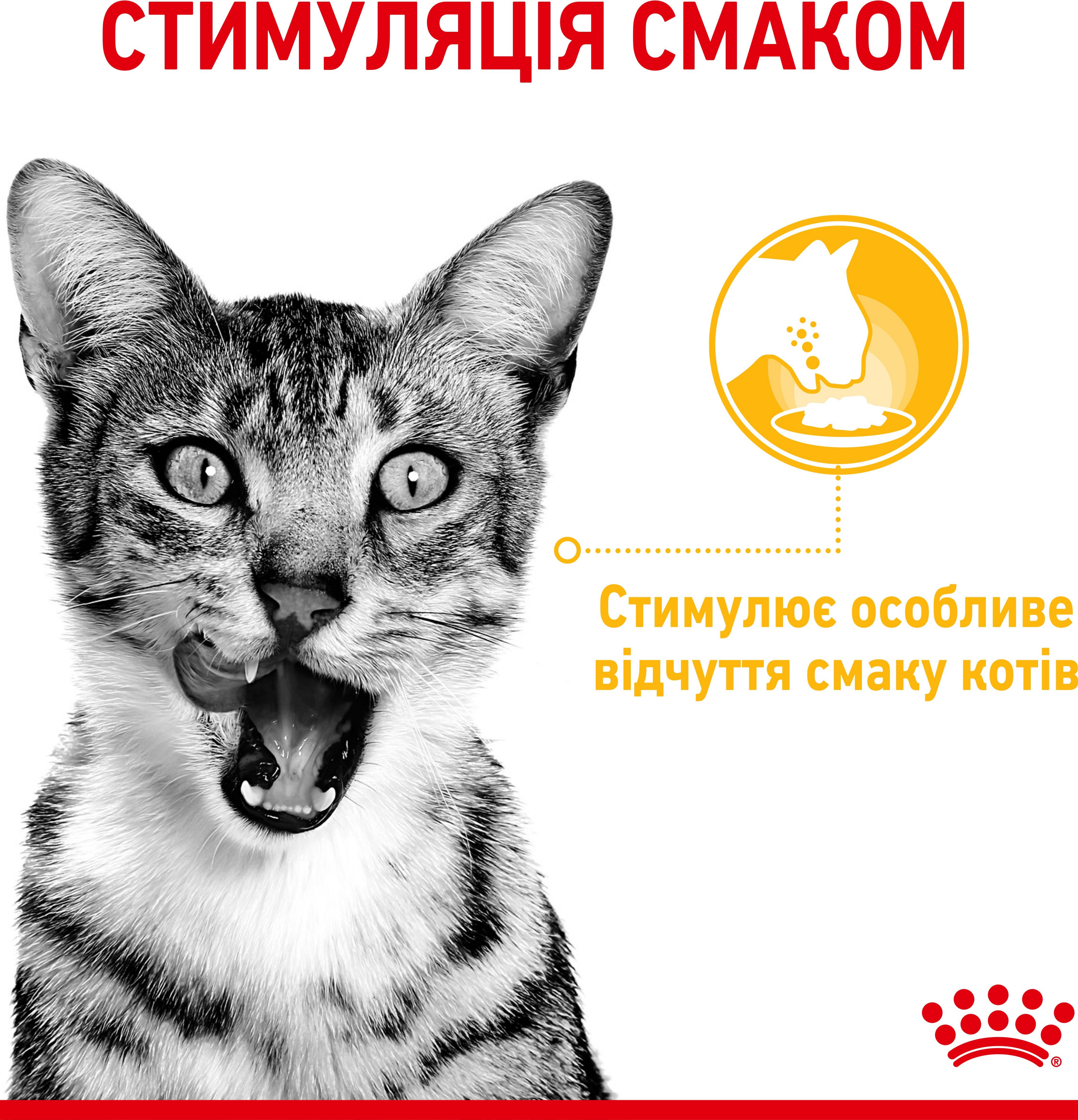 Влажный корм для котов Royal Canin Sensory Taste Jelly 85гфото3