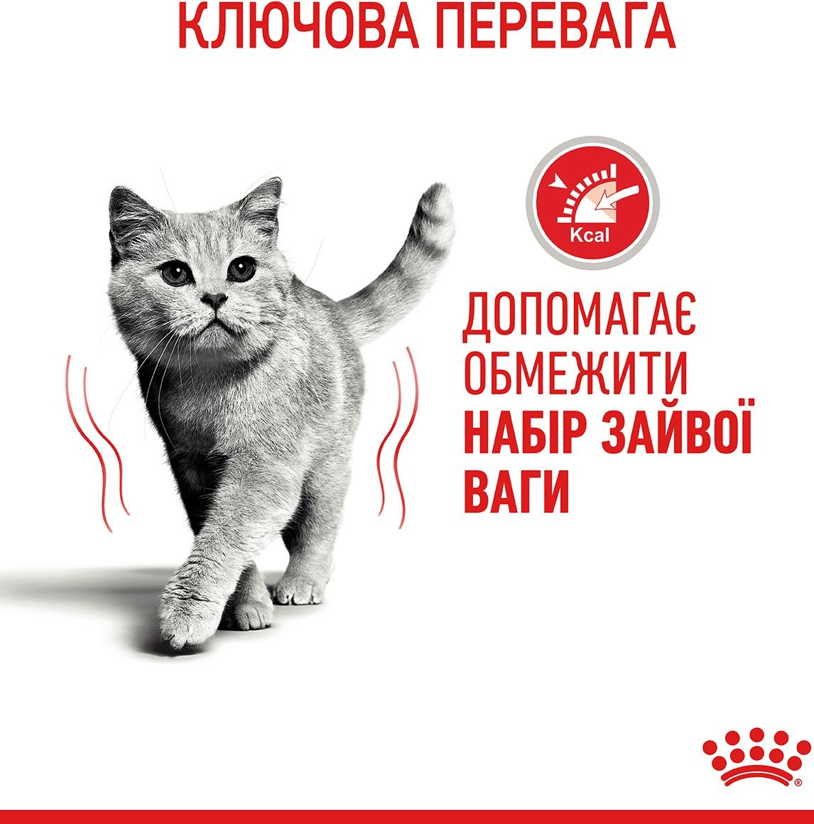 Влажный корм для котов Royal Canin Light Weight Care 85г фото 8