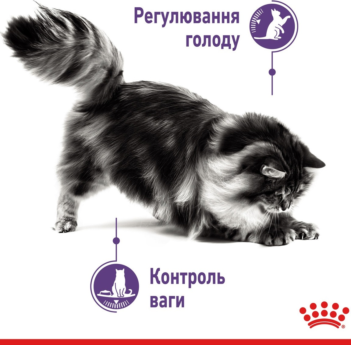 Влажный корм для котов Royal Canin Light Weight Care 85г фото 3