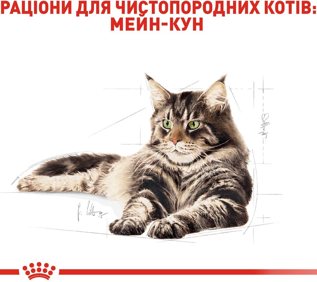 Влажный корм для котов породы Мейн-Кун Royal Canin Mainecoon Adult 85г фото 2