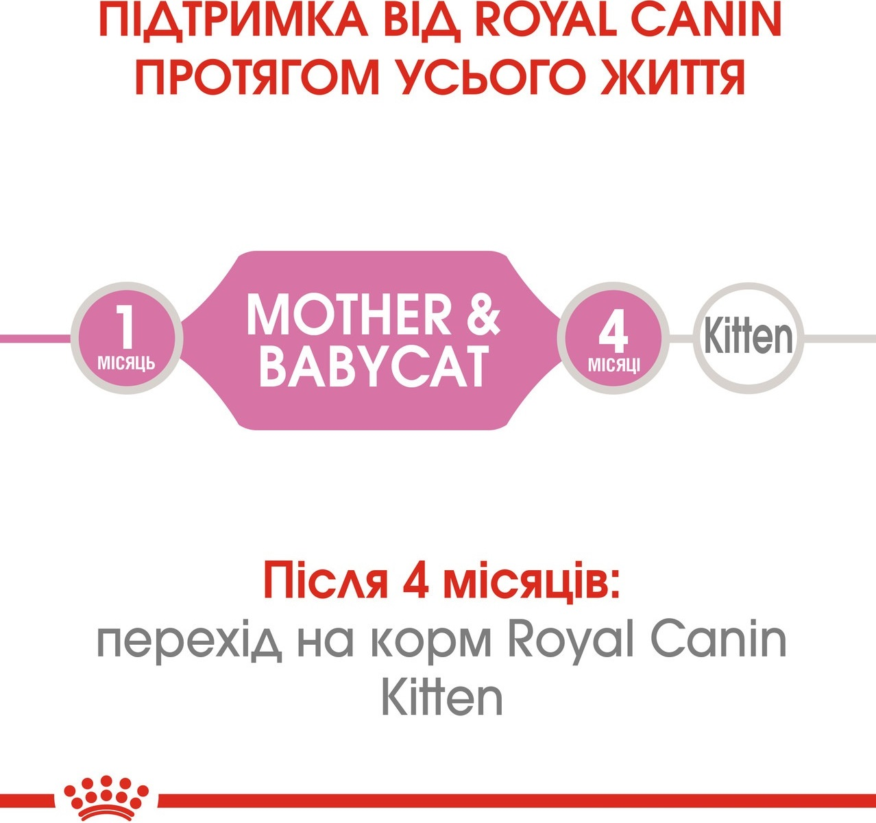 Вологий корм для кошенят Royal Canin Mother&Babycat Cans 195гфото3