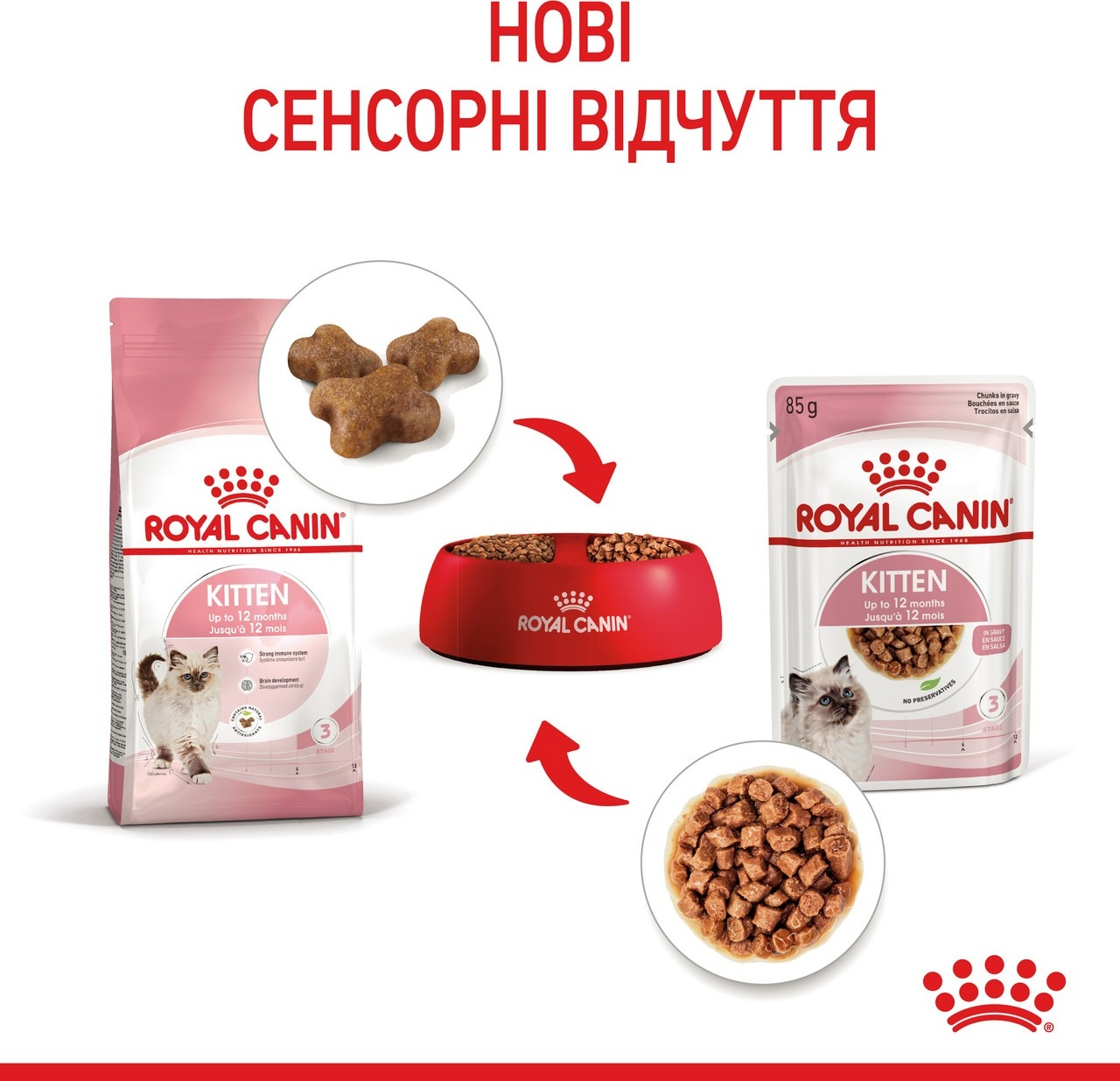 Влажный корм для котят Royal Canin Kitten кусочки в соусе 85г фото 5