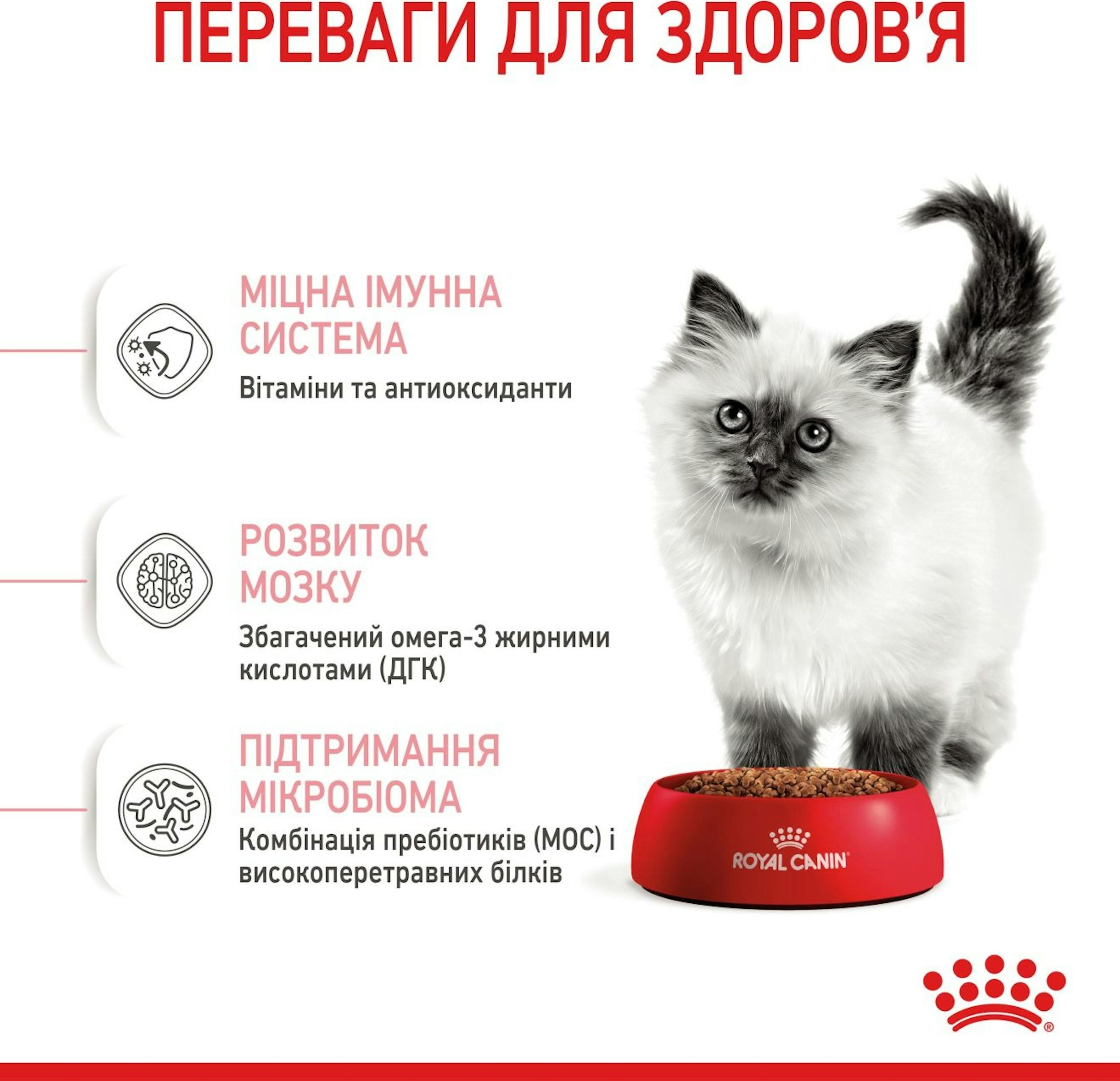 Влажный корм для котят Royal Canin Kitten кусочки в соусе 85г фото 3