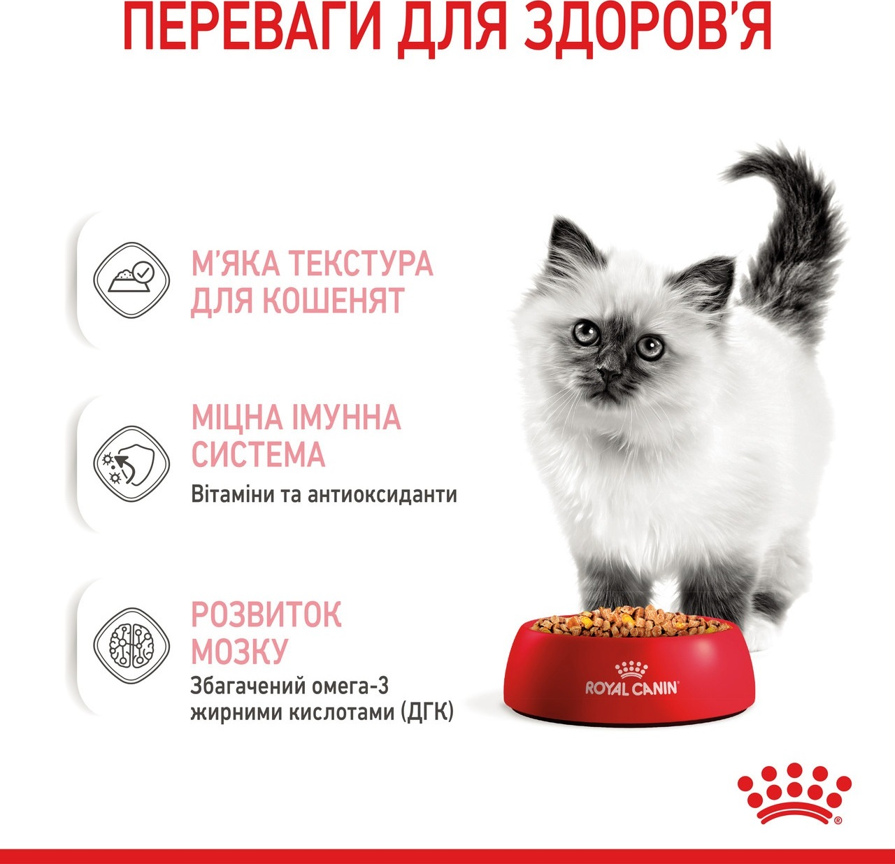 Вологий корм для кошенят Royal Canin Kitten шматочки в желе 85гфото3