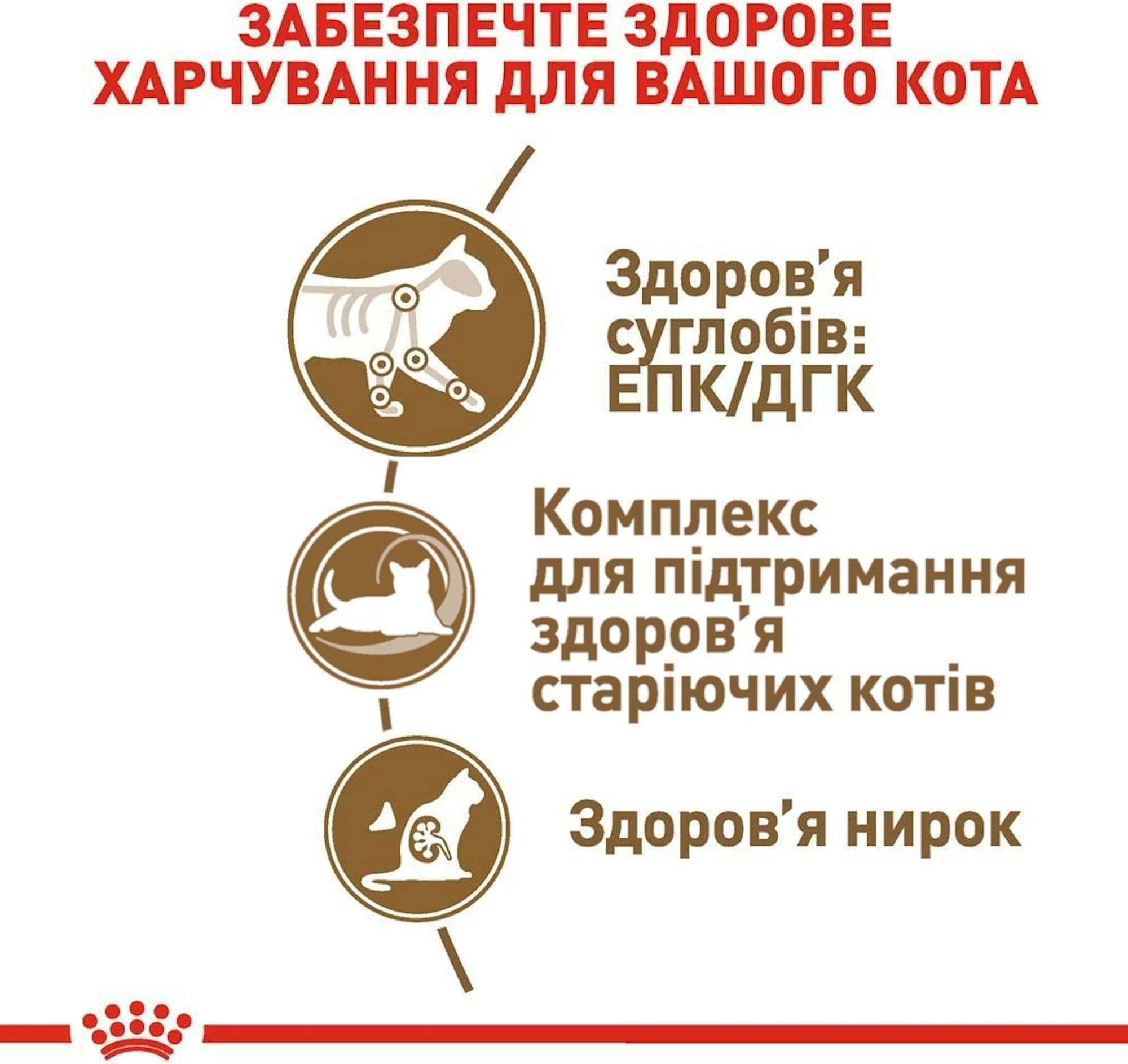 Влажный корм для котов Royal Canin Ageing 12+ 85гфото2