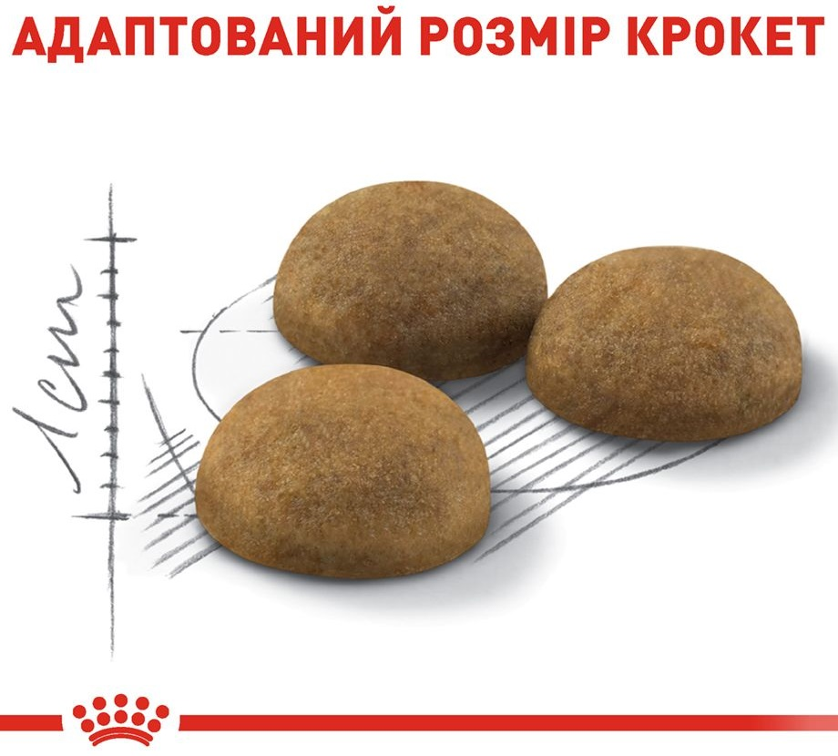 Сухий корм для домашніх довгошерстих котів Royal Canin Indoor Long Hair 2кгфото4