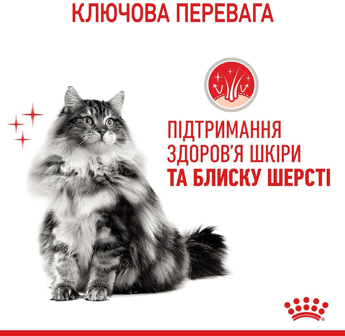 Вологий корм для котів Royal Canin Hair&Skin Care шматочки в желе 85гфото4