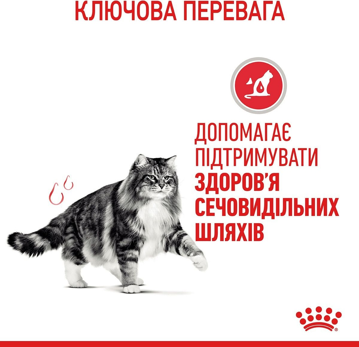 Влажный корм для котов Royal Canin Urinary Care 85г фото 3