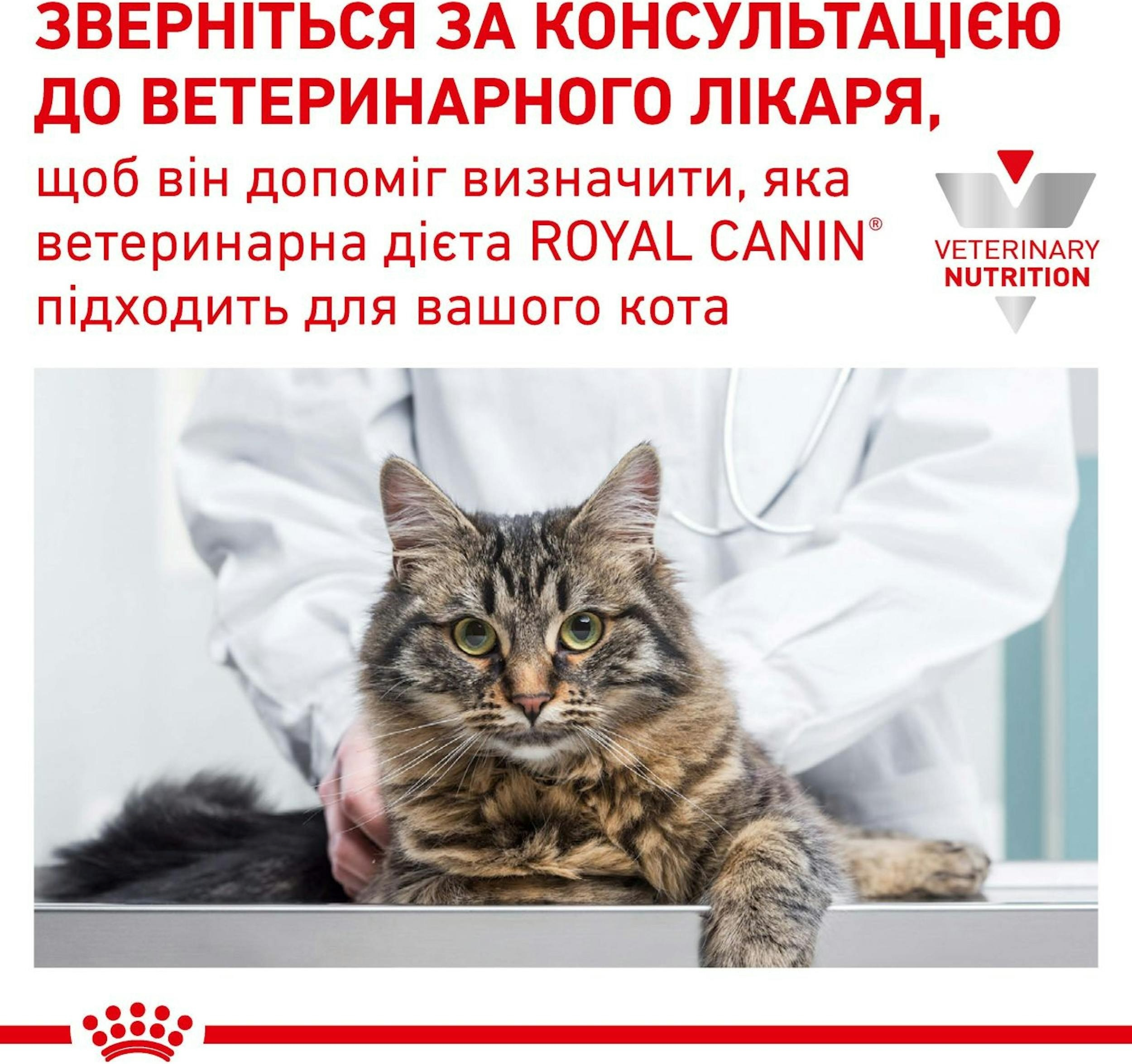 Сухой корм для котов Royal Canin Renal Feline при заболеваниях почек 4кг фото 2