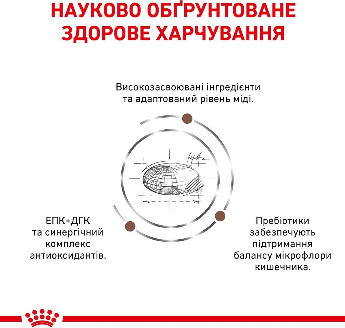 Сухий корм для котів Royal Canin Hepatic при захворюваннях печінки 2кгфото4