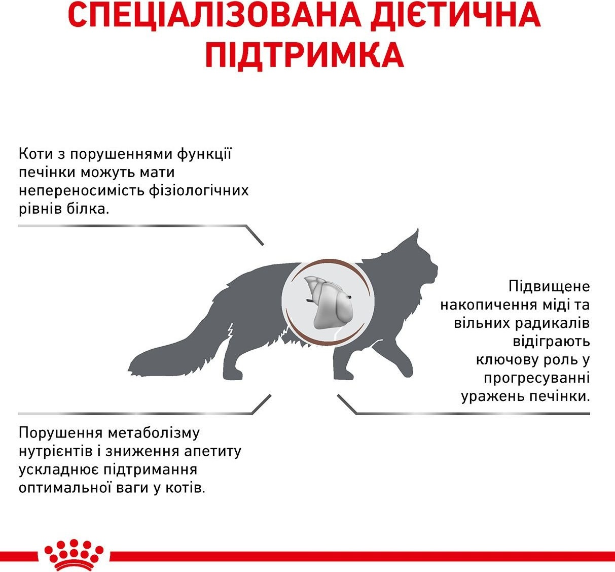 Сухой корм для котов Royal Canin Hepatic при заболеваниях печени 2кг фото 3