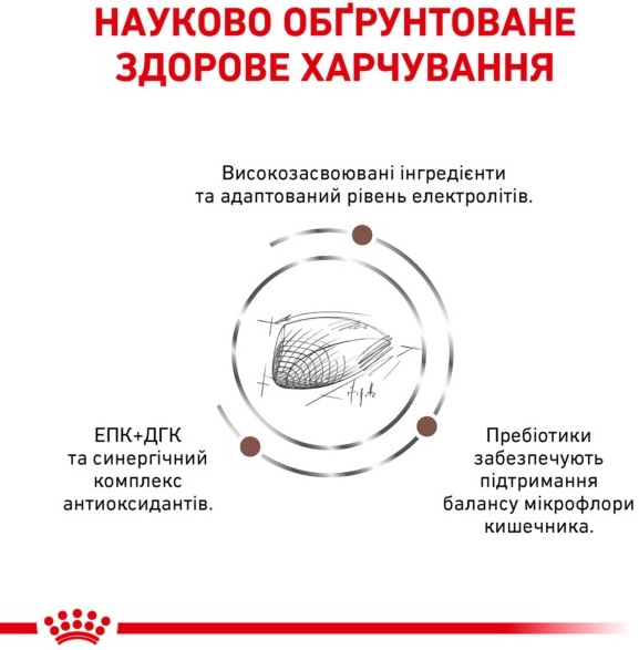 Сухой корм для котов Royal Canin Gastrointestinal при расстройствах пищеварения 400гфото2