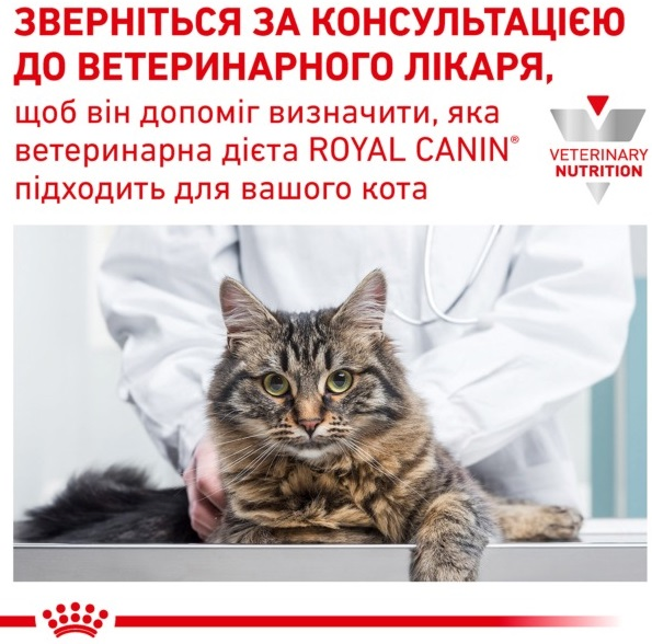 Сухой корм для котов Royal Canin Gastrointestinal при расстройствах пищеварения 400гфото9