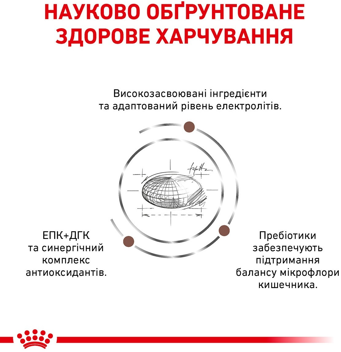 Сухий корм для котів Royal Canin Gastrointestinal Moderate Calorie схильних до зайвої ваги при розладах травленняфото2