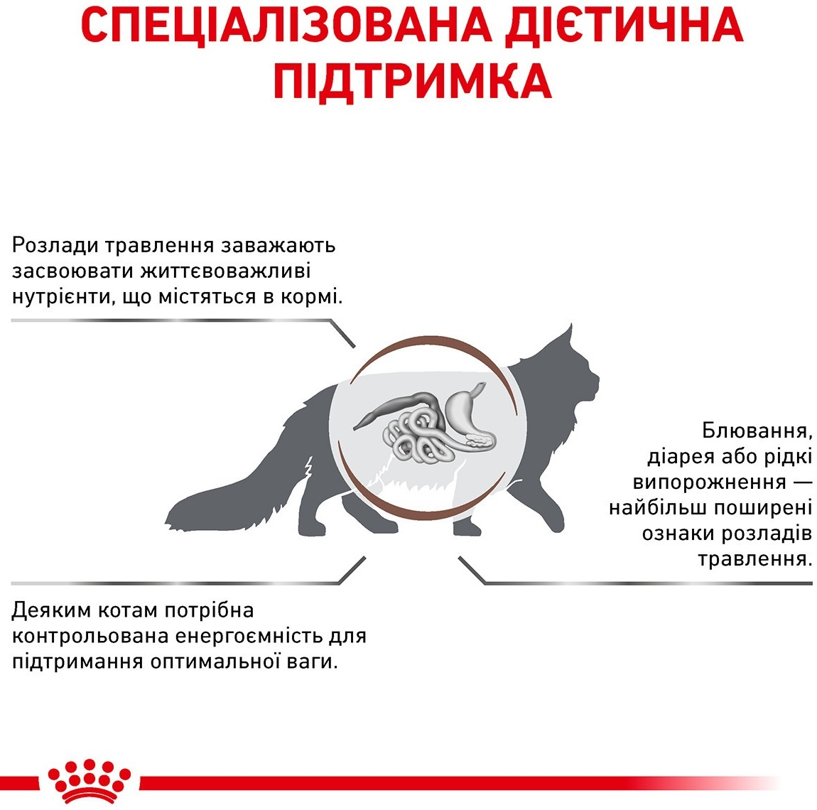 Сухой корм для котов Royal Canin Gastrointestinal Moderate Calorie cклонных к лишнему весу при расстройствах пищеварения фото 3