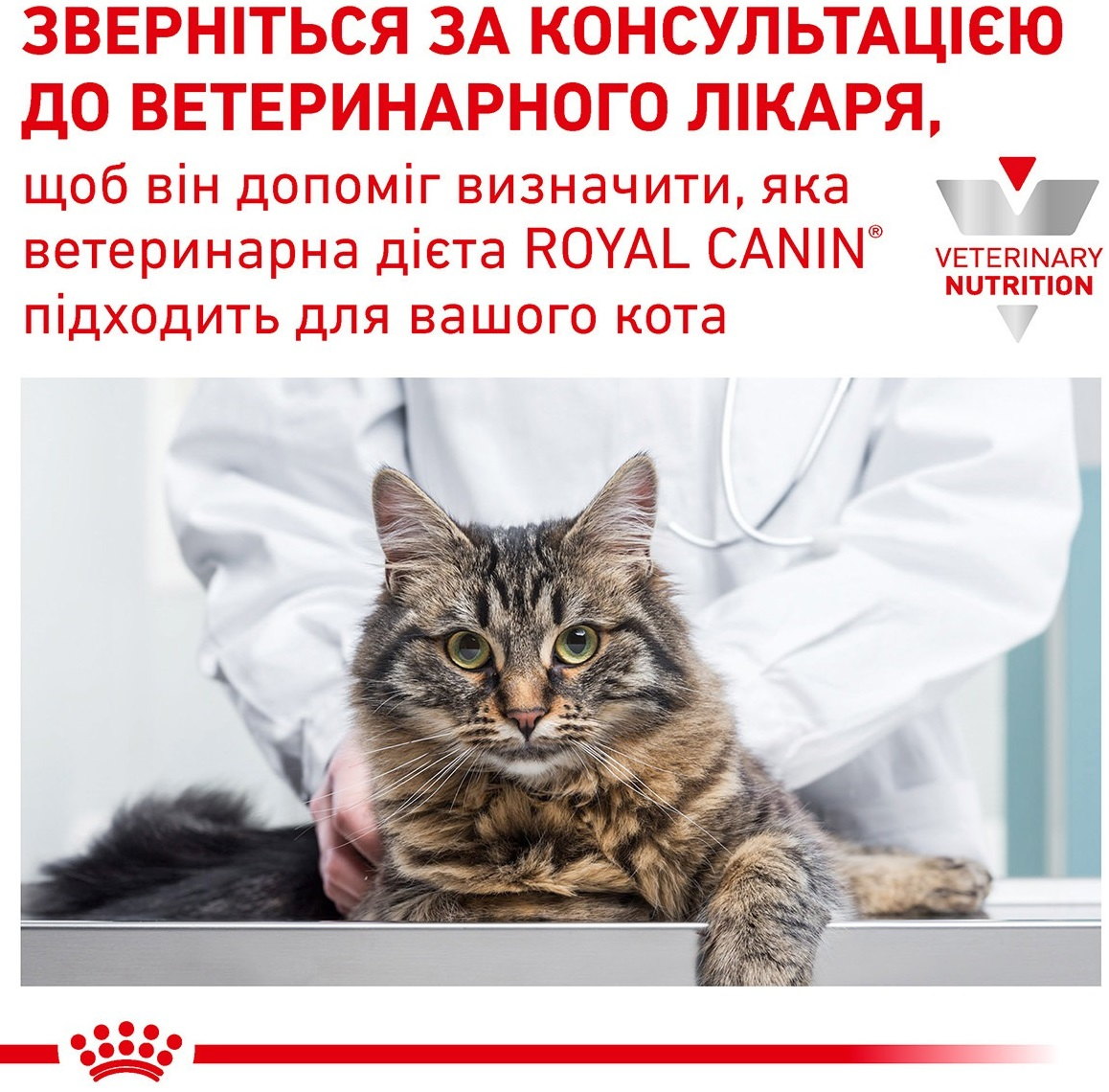 Сухой корм для котов Royal Canin Gastrointestinal Moderate Calorie cклонных к лишнему весу при расстройствах пищеварения фото 9