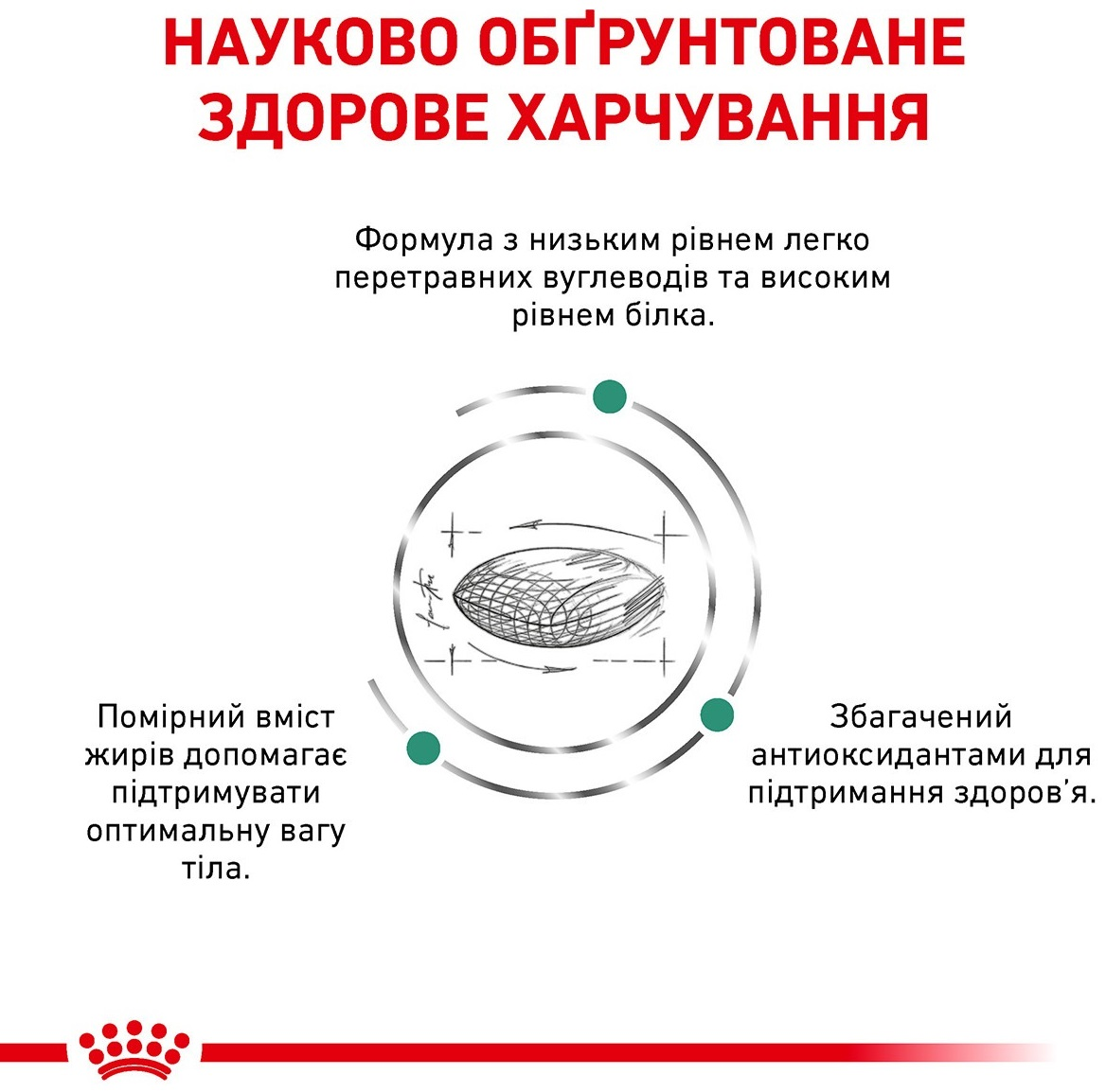 Сухой корм для котов Royal Canin Diabetic при сахарном диабете 400гфото2