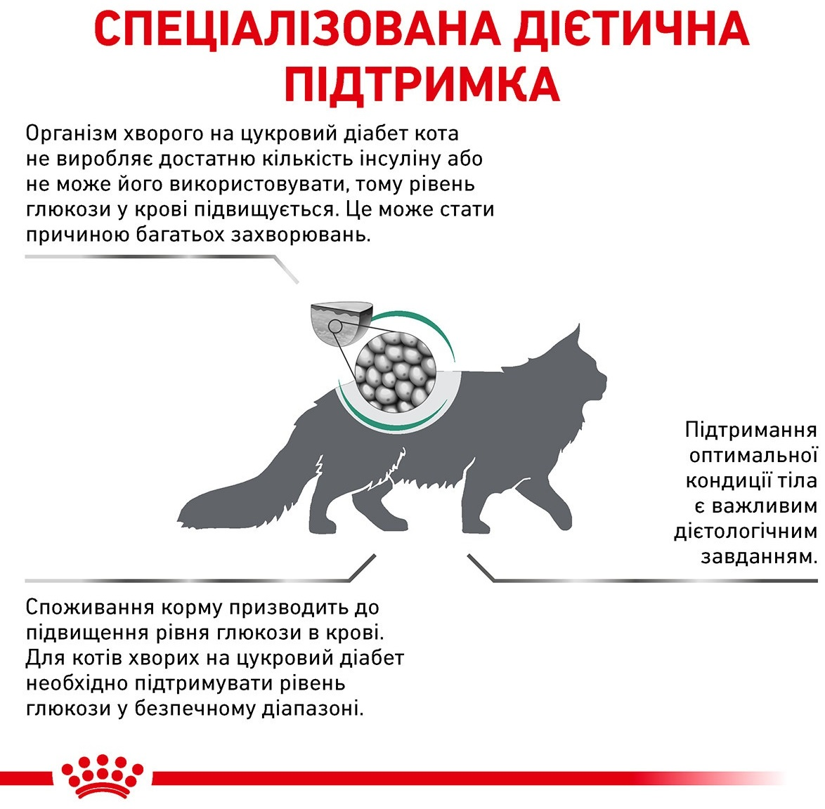 Сухой корм для котов Royal Canin Diabetic при сахарном диабете 400гфото3