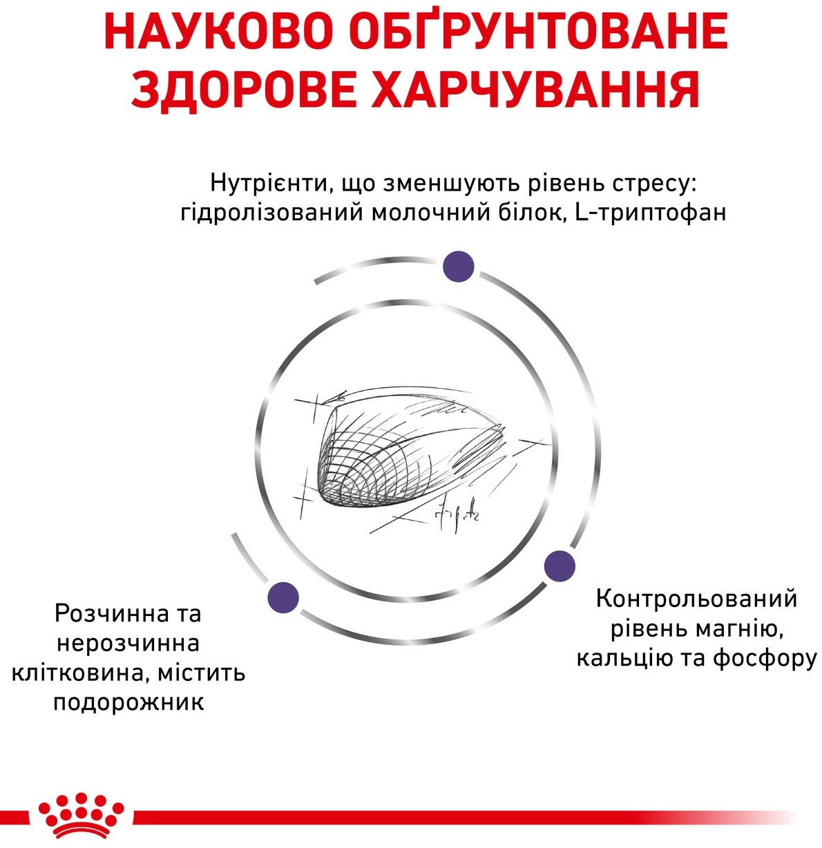 Сухой корм для котов Royal Canin Calm для снижения уровня стресса 2кг фото 2